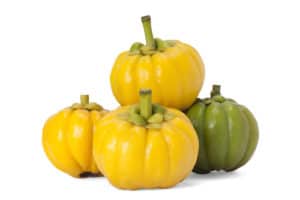 Garcinia Cambogia fruits