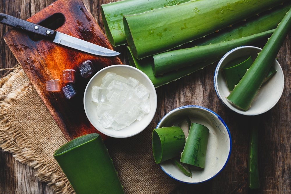 Aloe Vera Skin