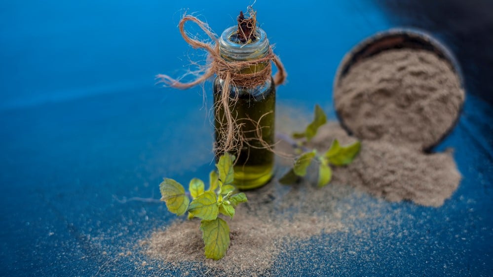 bacopa monnieri fordeler