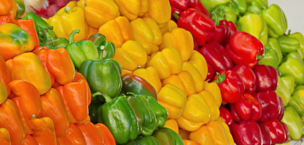 capsicum in different color variations