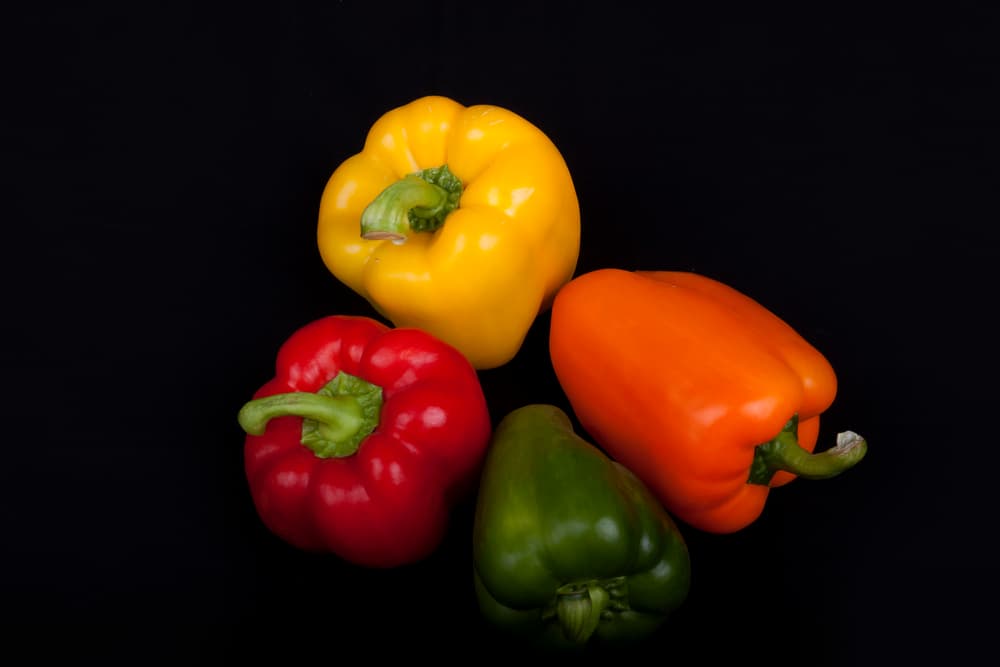 Capsicum de couleur rouge, vert, orange et jaune