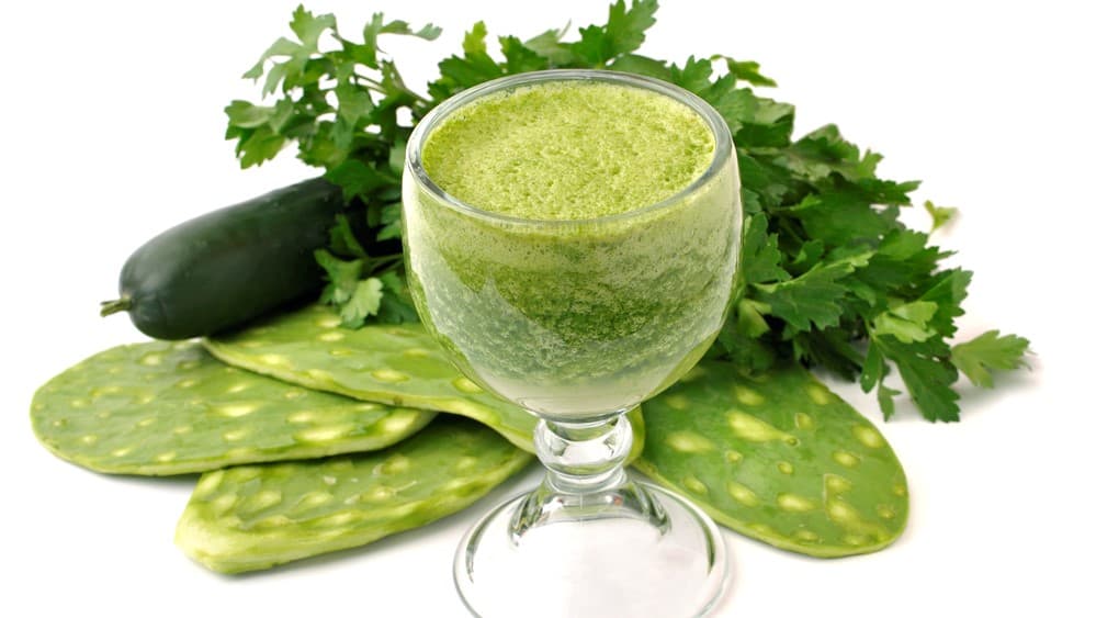 suco de cacto nopal, suplemento nopal