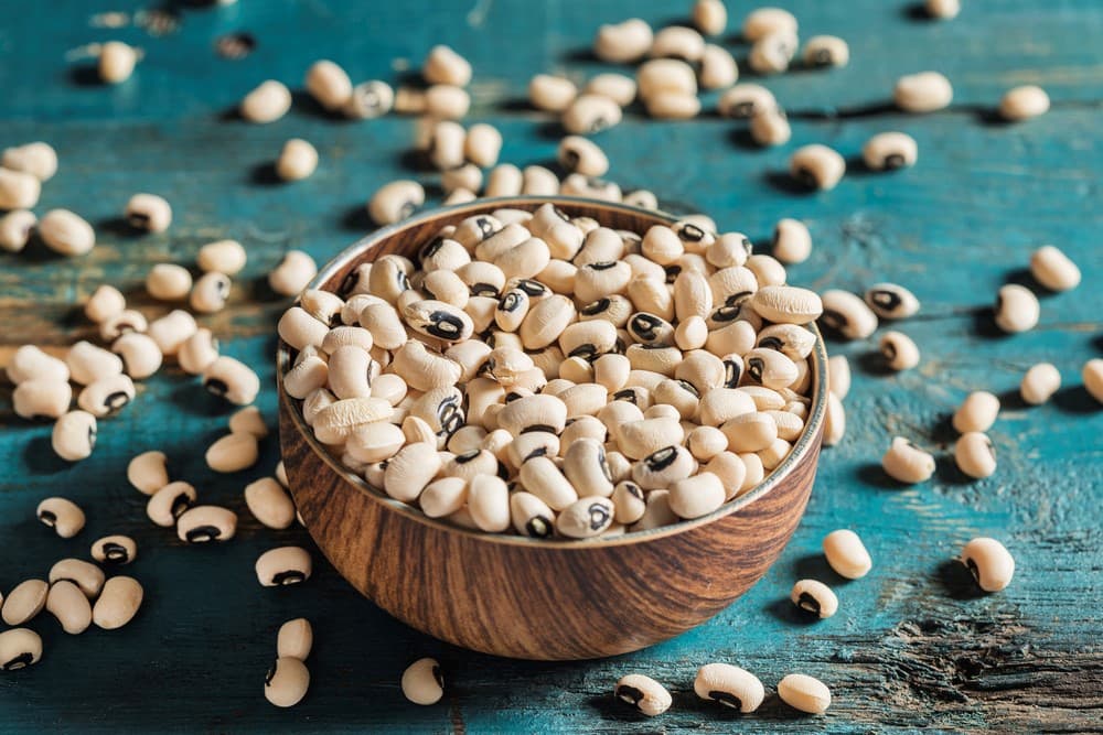 white kidney bean in a bowl